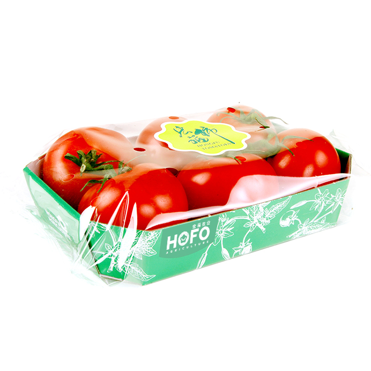 多用途番茄串纸盒装600g