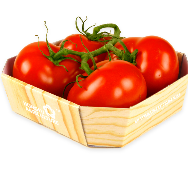 多用途番茄串纸盒装400g
